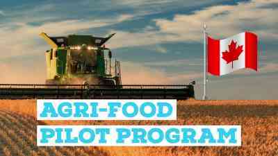 agri-food