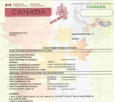 study-permit